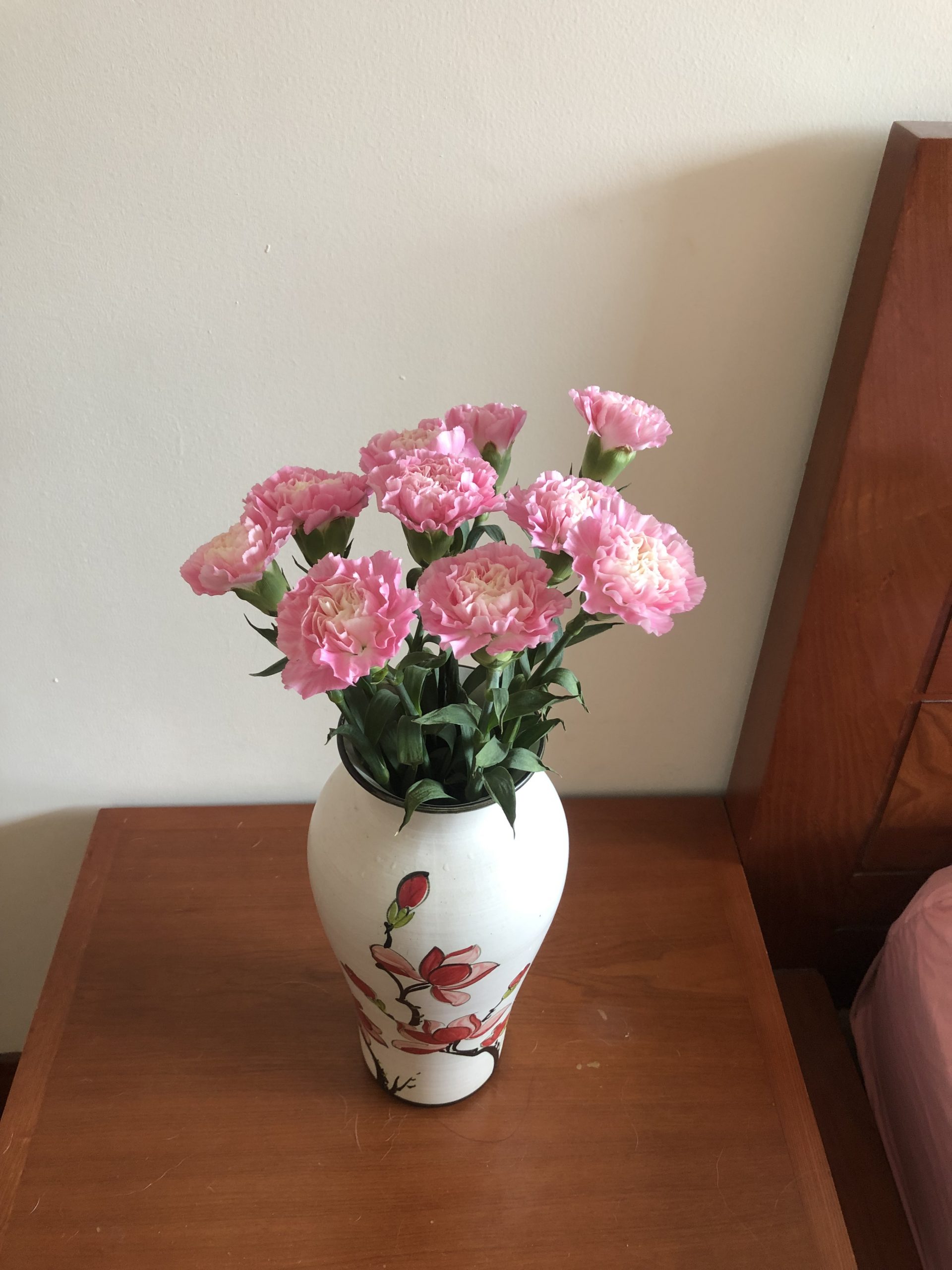 hoa cẩm chướng; ý nghĩa hoa cẩm chướng, hiểu về các loài hoa